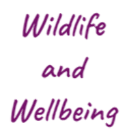 Wildlife and Wellbeing Community Interest Company